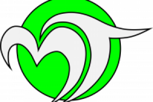 Разработка логотипа МедиаТас