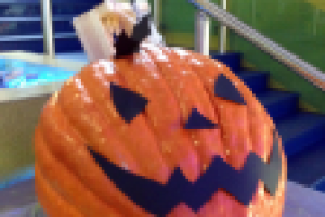 Декор лестницы к Хэллоуину ТЦ "Алые Паруса"