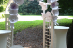 Арка для регистрации