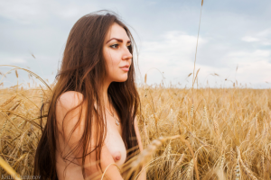 Работа 3297149