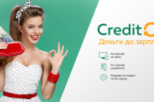 Микро-кредитная организация