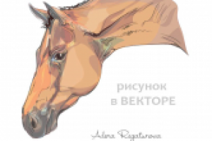 vector horse