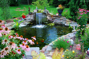 Примеры проектирования водоемов