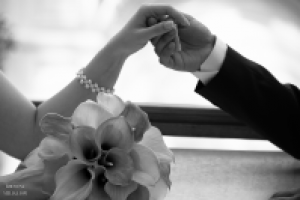 Работа 1685415