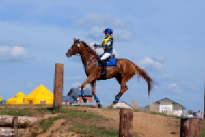 Работа 1685401