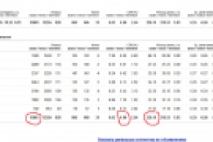 Рекламная компания "Домик для кошки"