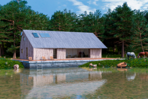 Дом у пруда