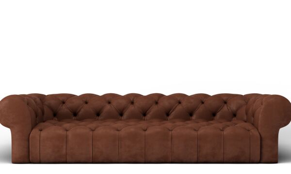 img3233295.png