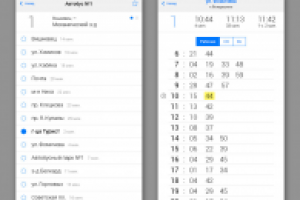 Работа 2130037