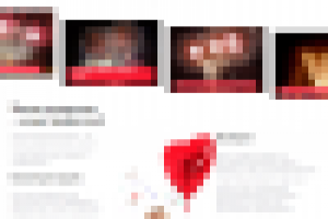 Лендинг Организация пиротехнических шоу