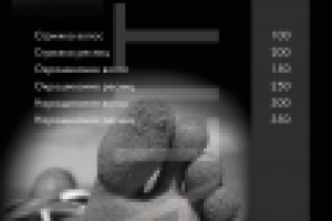 Работа 2569824