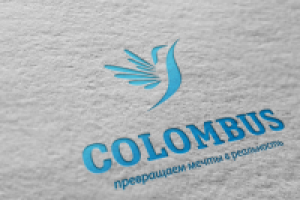 Работа 2217957