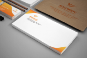 Фирменный стиль компании "Коломбус"