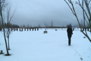 Немецкое воинское захоронение