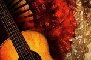 Многокамерная съемка концерта