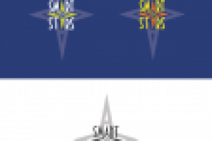 Логотип Smartstars