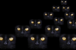 Фотосъемка, изолирование (обтравка), коллаж.