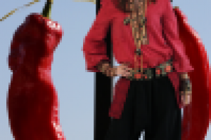 Фотосъемка (модели и фона), изолирование (обтравка), коллаж.