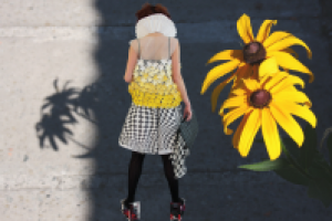 Фотосъемка (модели и фона), изолирование (обтравка), коллаж.