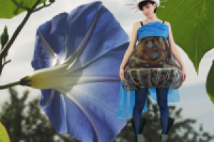 Фотосъемка (модели и фона), изолирование (обтравка), коллаж.