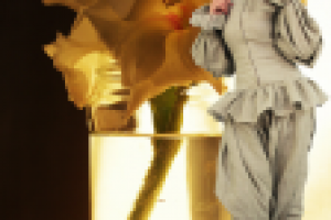 Фотосъемка (модели и фона), изолирование (обтравка), коллаж.