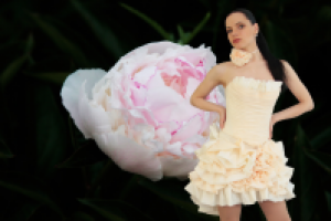 Фотосъемка (модели и фона), изолирование (обтравка), коллаж.