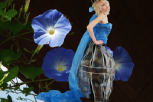 Фотосъемка (модели и фона), изолирование (обтравка), коллаж.