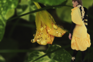 Фотосъемка (модели и фона), изолирование (обтравка), коллаж.