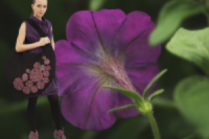 Фотосъемка (модели и фона), изолирование (обтравка), коллаж.