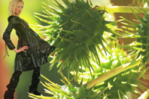 Фотосъемка (модели и фона), изолирование (обтравка), коллаж.