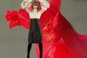 Фотосъемка (модели и фона), изолирование (обтравка), коллаж.