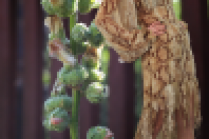 Фотосъемка (модели и фона), изолирование (обтравка), коллаж.