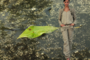 Фотосъемка (модели и фона), изолирование (обтравка), коллаж.