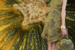 Фотосъемка (модели и фона), изолирование (обтравка), коллаж.