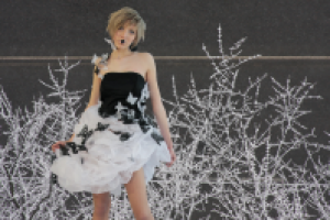 Фотосъемка (модели и фона), изолирование (обтравка), коллаж.