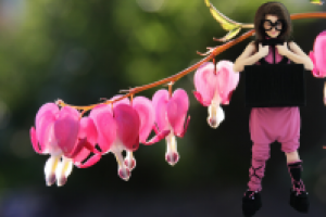 Фотосъемка (модели и фона), изолирование (обтравка), коллаж.