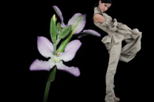 Фотосъемка (модели и фона), изолирование (обтравка), коллаж.