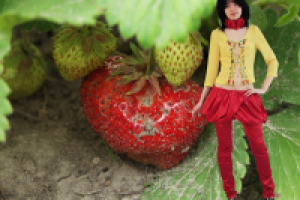 Фотосъемка (модели и фона), изолирование (обтравка), коллаж.