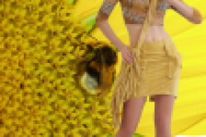 Фотосъемка (модели и фона), изолирование (обтравка), коллаж.