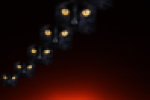 Фотосъемка, изолирование (обтравка), коллаж.