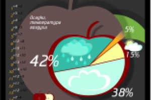 Инфографика