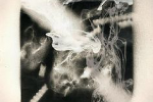 Работа 2229844