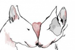 Работа 2229851