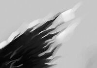 img2229812.png