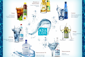 Менеджер проекта