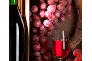 < РЕСТОРАНЫ >  Группа Компаний Sabor