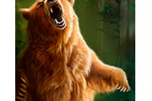 < СТУДИЯ >   Продвижение бизнеса