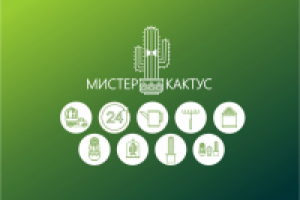 Работа 2739127