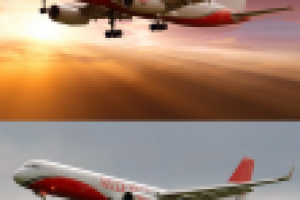 Работа 2467774