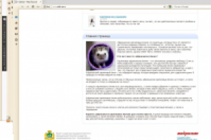 Главная страница для сайта об африканских ёжиках